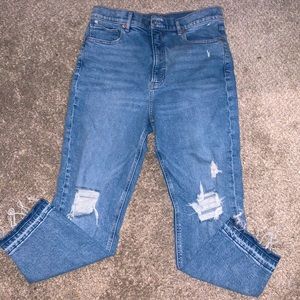Express High Rise Mom Jeans
